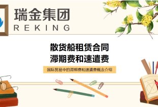 An Introduction to Demurrage and Demurrage Charges in Bulk Carrier Charter Contracts for International Trade