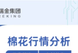 Cotton Spinning Market Analysis