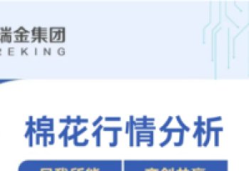 Cotton Spinning Market Analysis