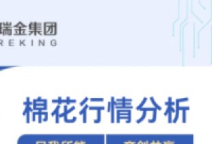 Cotton Market Analysis