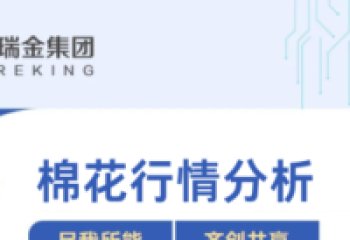 Cotton Market Analysis